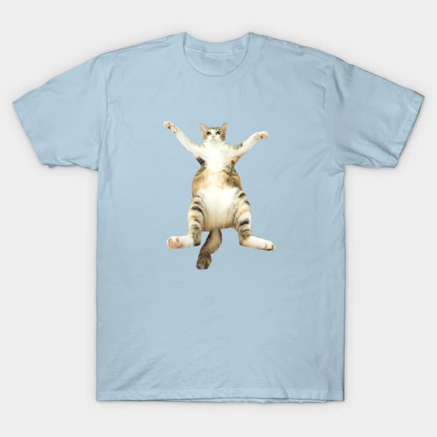 Kitty With Open Arms T-Shirt by leBoosh-Designs